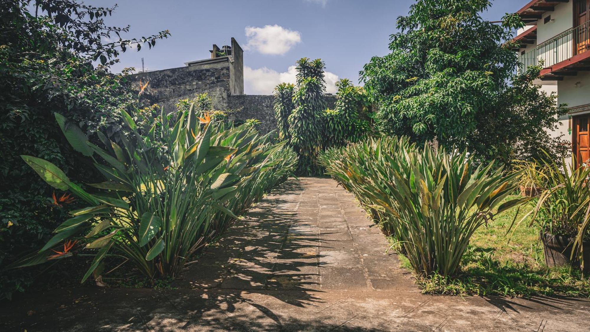 Hotel Montecillo Coatepec  Esterno foto